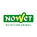 Nowet